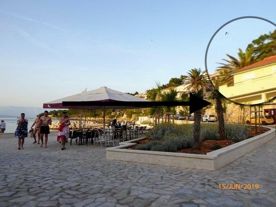 Ilda Radonić Jelsa (Hvar)